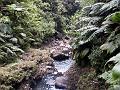 20a - Chutes du Carbet 021